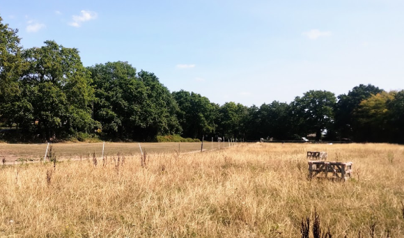 Floodplain and surface water run-off